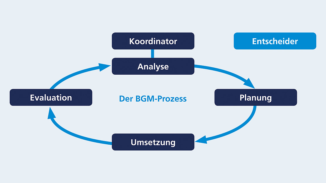 Flussdiagramm, das den BGM-Prozess veranschaulicht: „Koordinator“ führt zu „Analyse“ und durchläuft „Planung“, „Umsetzung“ und „Evaluation“ und verbindet sich wieder mit „Analyse“. „Entscheider“ ist mit „Koordinator“ verknüpft. Pfeile zeigen die Richtung an.